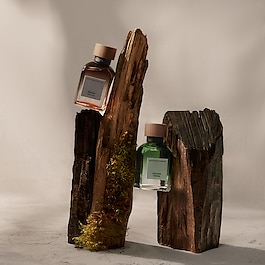 Ébano Salvia - Eau de Parfum